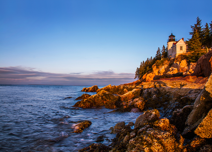 New England Shore Excursions