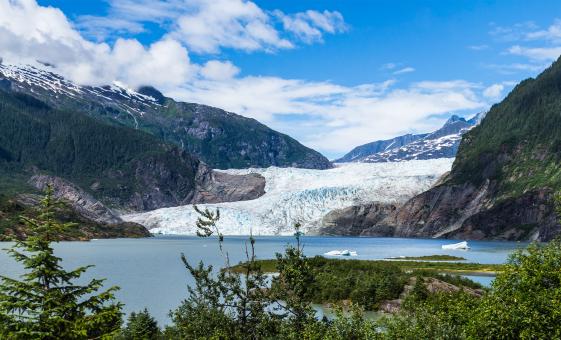 Mendenhall Glacier Shore Excursion and Juneau City Tour in Alaska