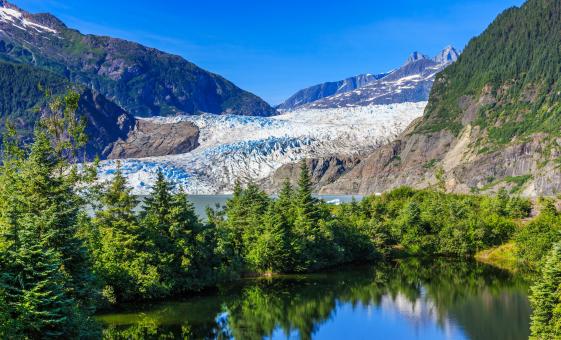 Mendenhall Glacier View Shore Excursion and Juneau City Tour in Alaska