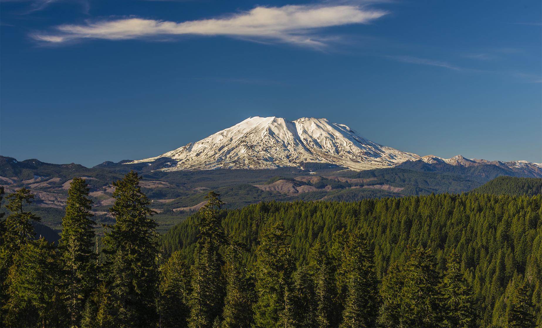 Mount St. Helens Small Group Tour Excursion from Seattle (Full Day)