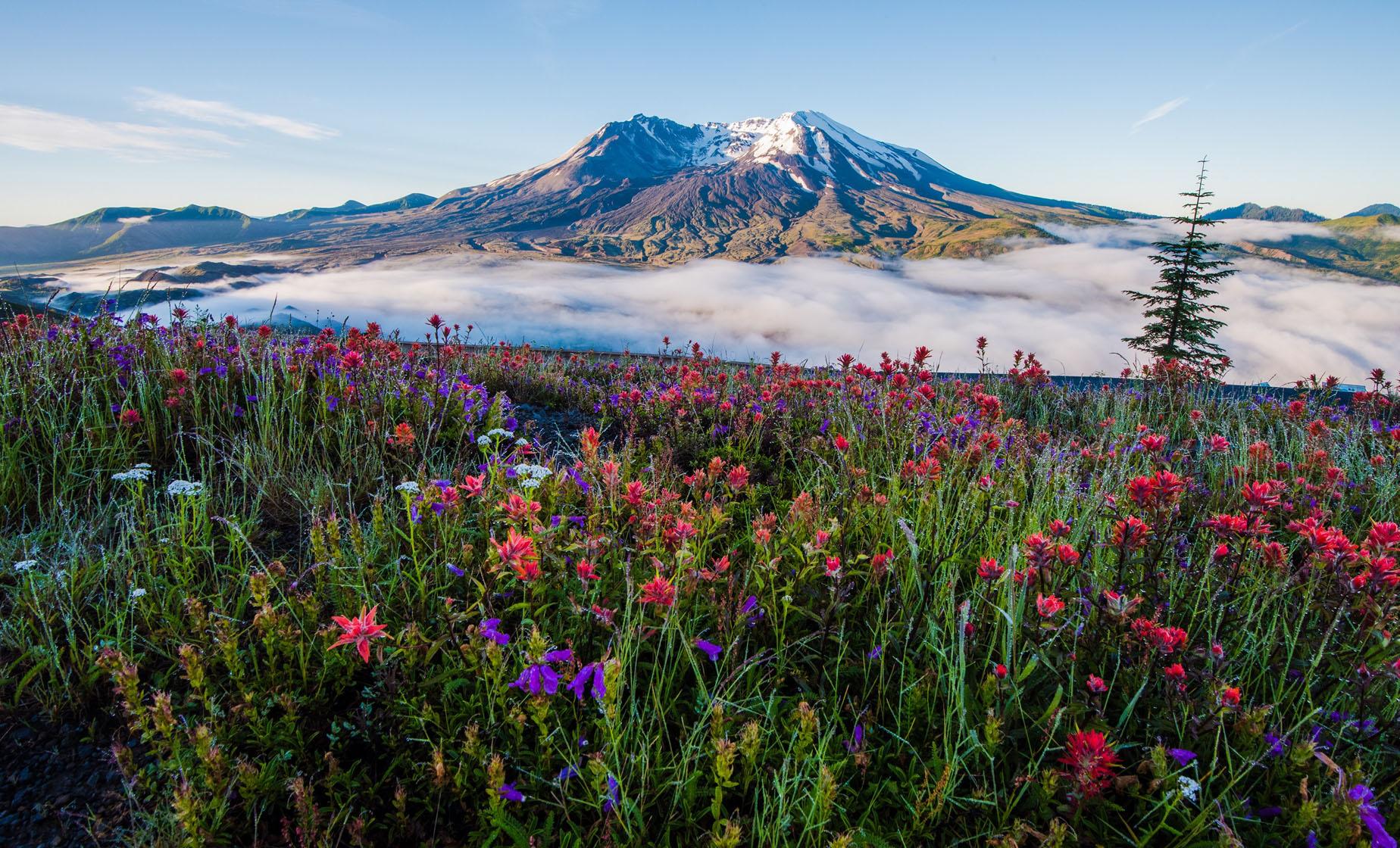 Private Mt. St. Helens