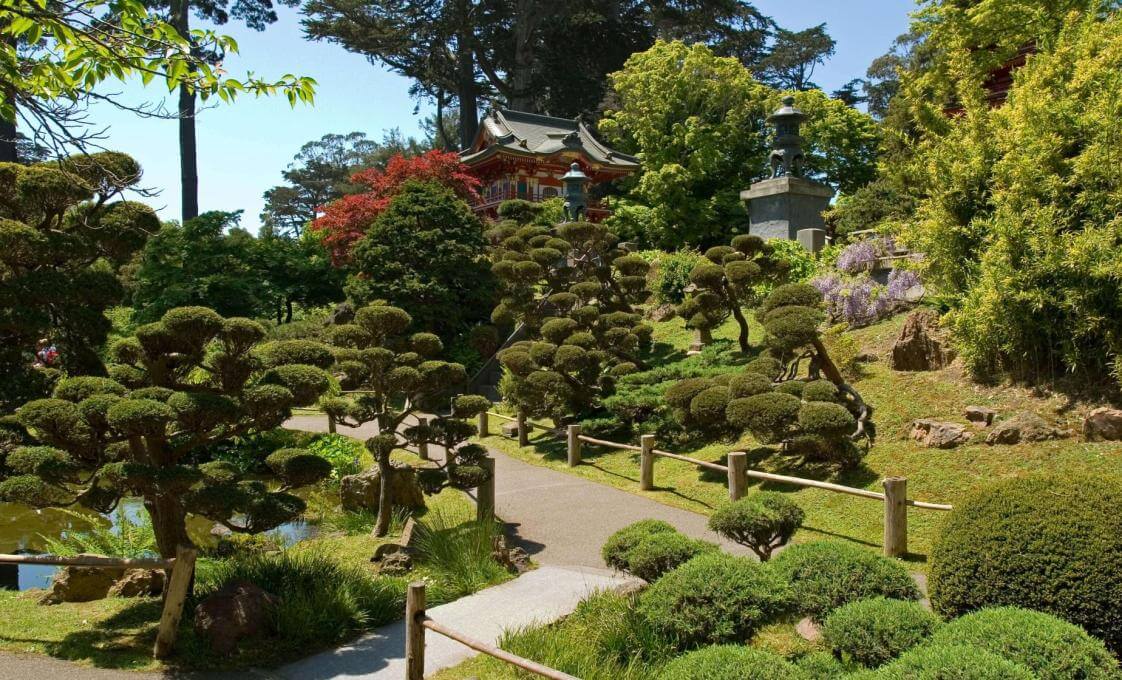 Golden Gate Park Bike Adventure