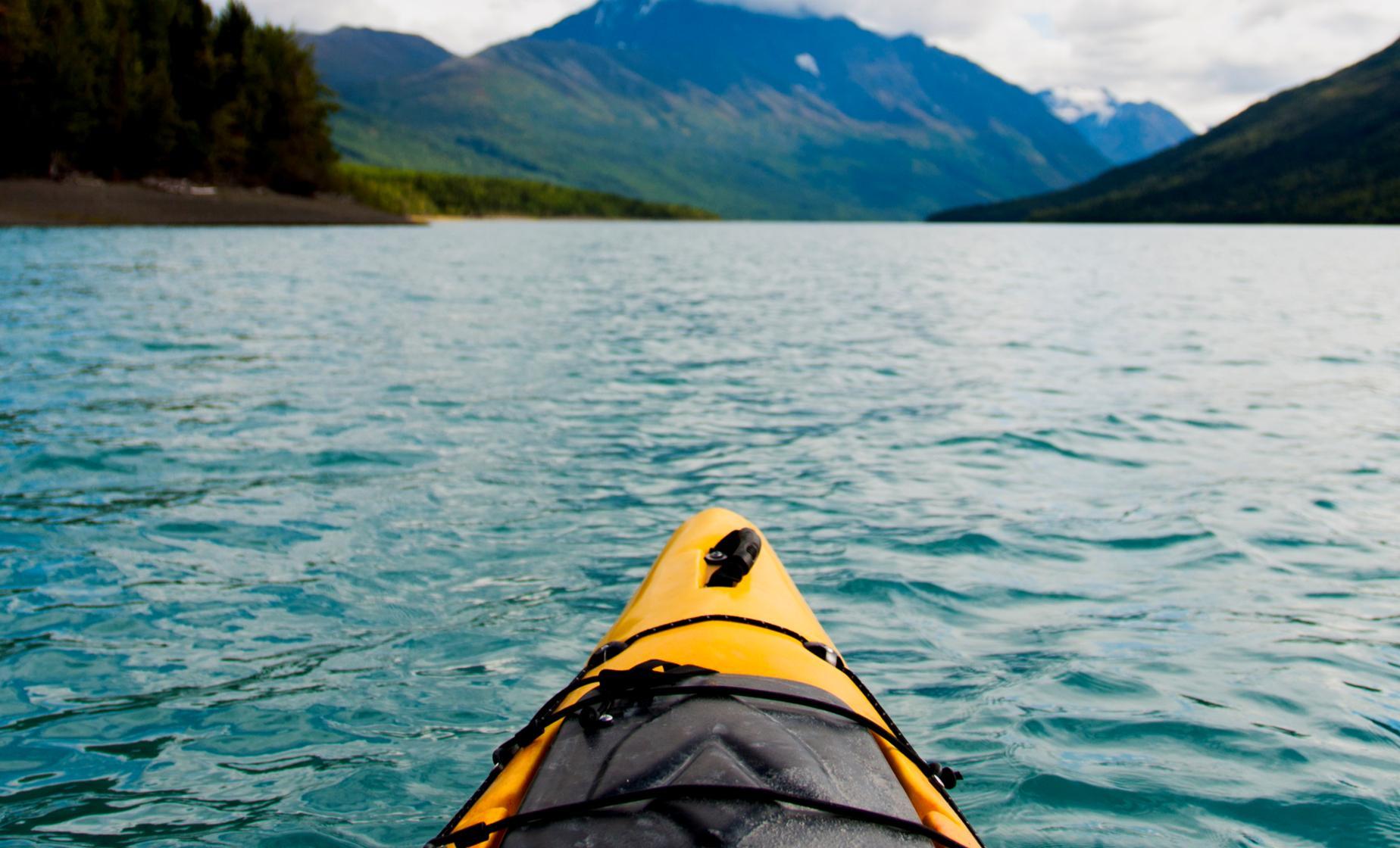 Private Chilkoot Lake Wildlife Kayaking