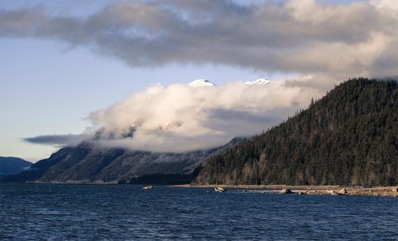 Private Chilkat Bald Eagle Preserve Rafting