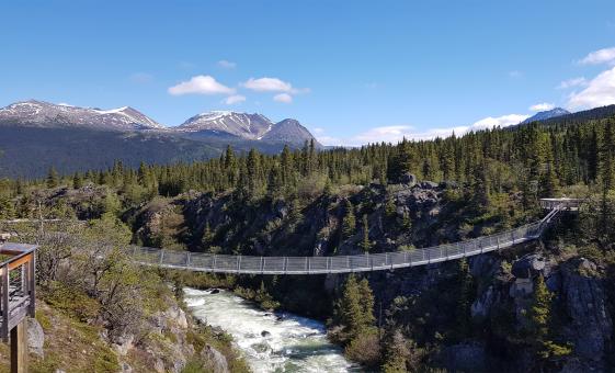 White Pass Summit and Yukon Suspension Bridge