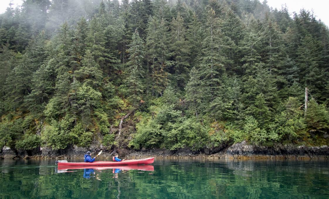 Exclusive Half Day Sitka Sound Cruise And Paddle