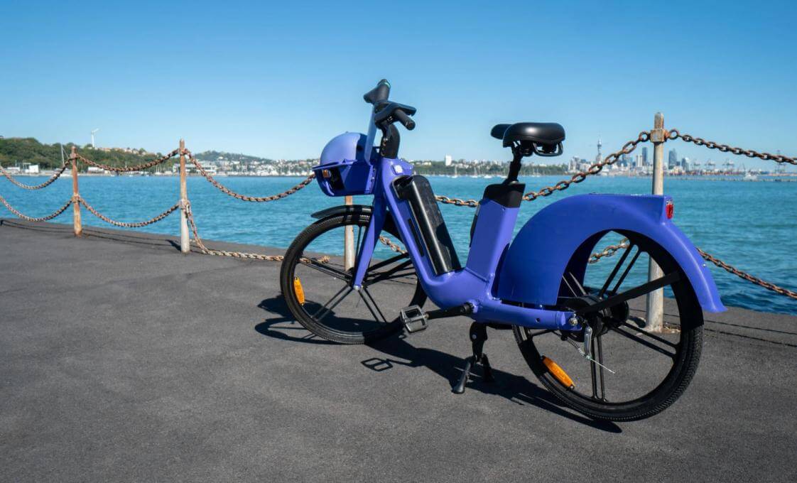 Central Auckland E-Bike Tour