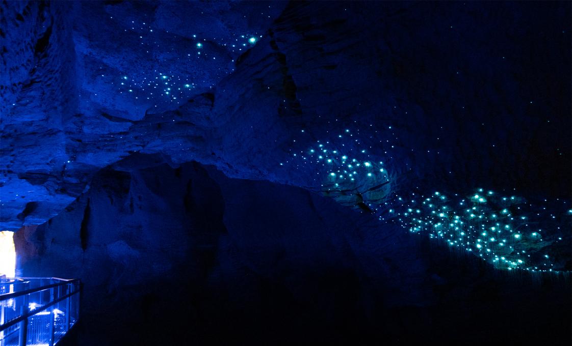 Waitomo Glow Worm Caves And Hobbiton