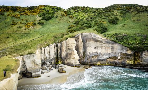 Bays Beaches and Views of Dunedin Tour (Otago Peninsula, Cape Saunders)