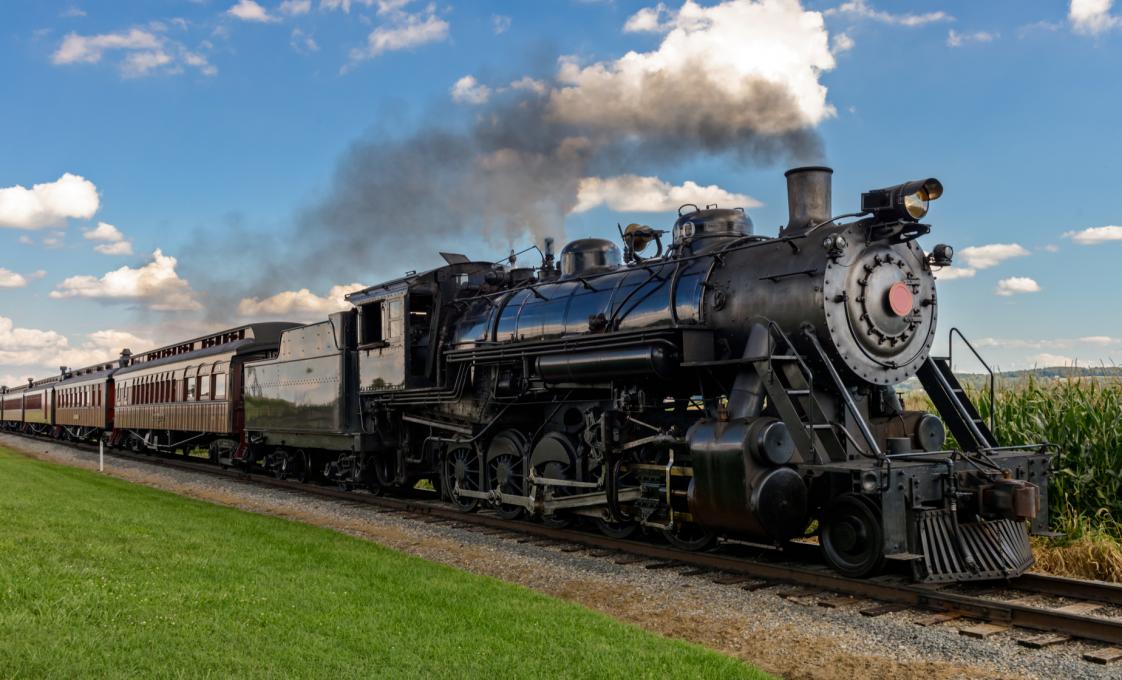 Marlborough Flyer Steam Train Tour
