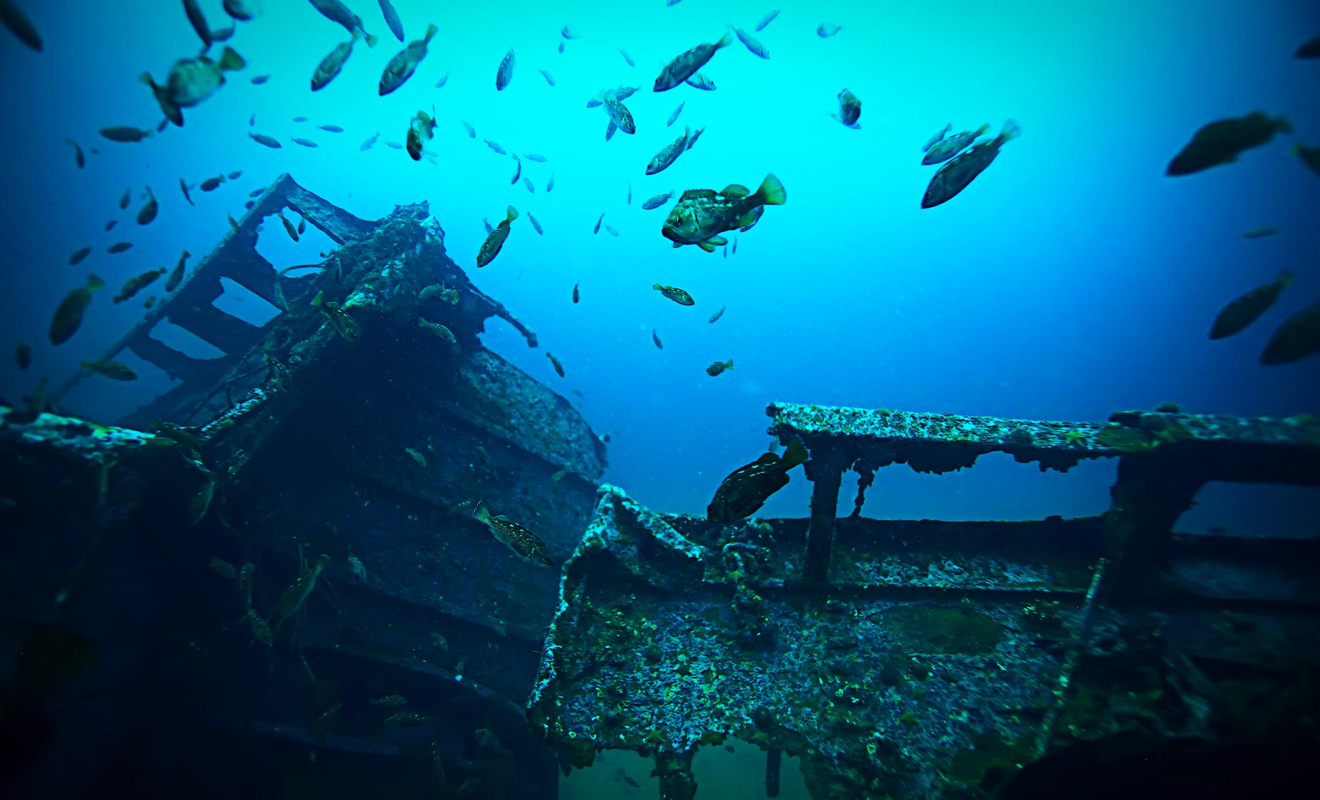 The Antilla Shipwreck Sail and Snorkel Trip in Aruba Palm Beach
