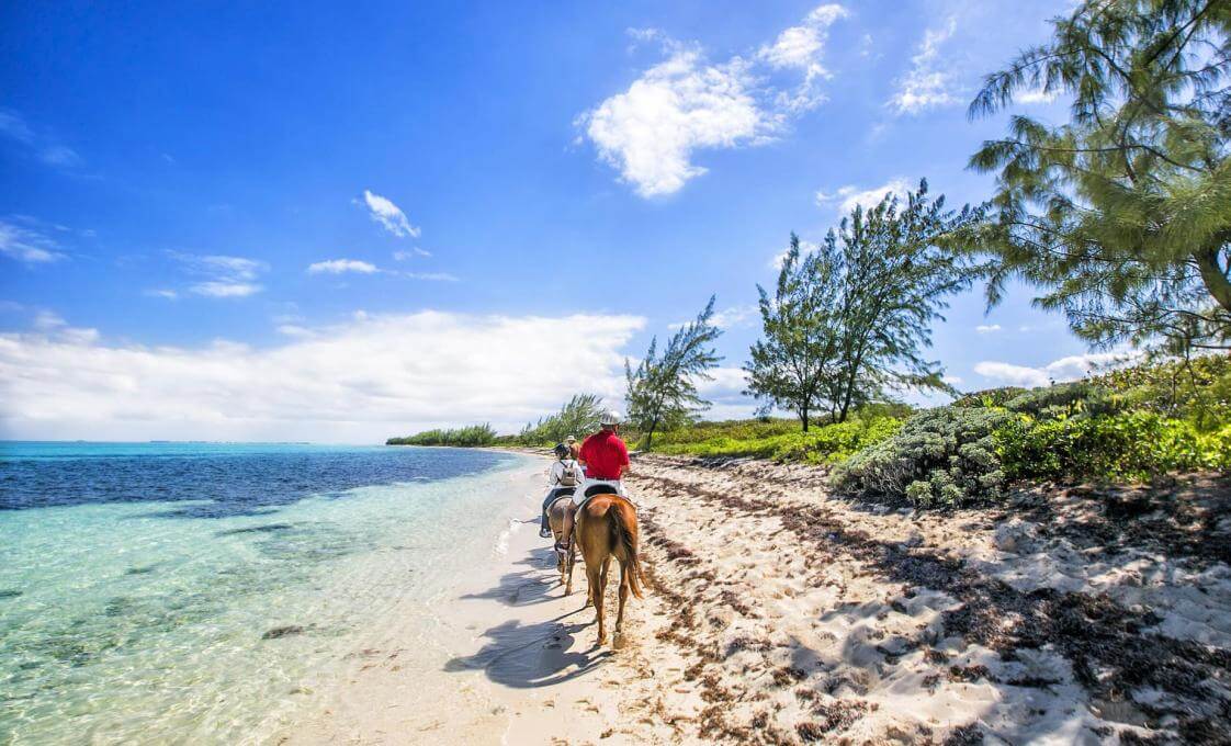 Countryside To Northern Coast Horseback Aruban Adventure