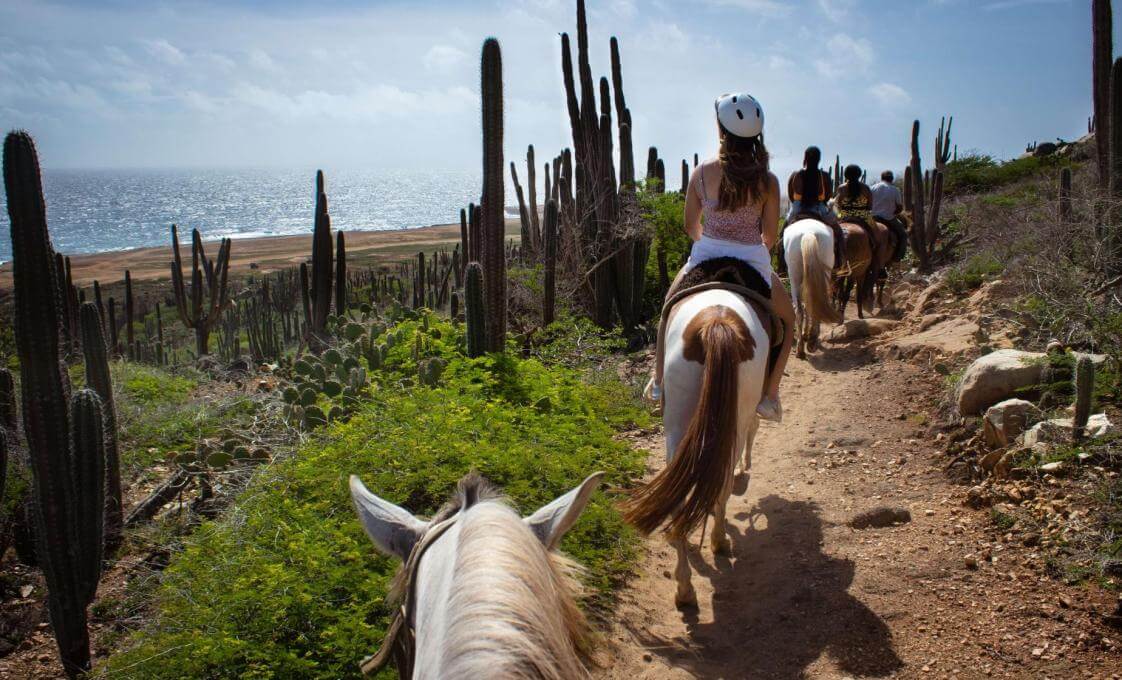 Aruban Sunset Horseback Ride