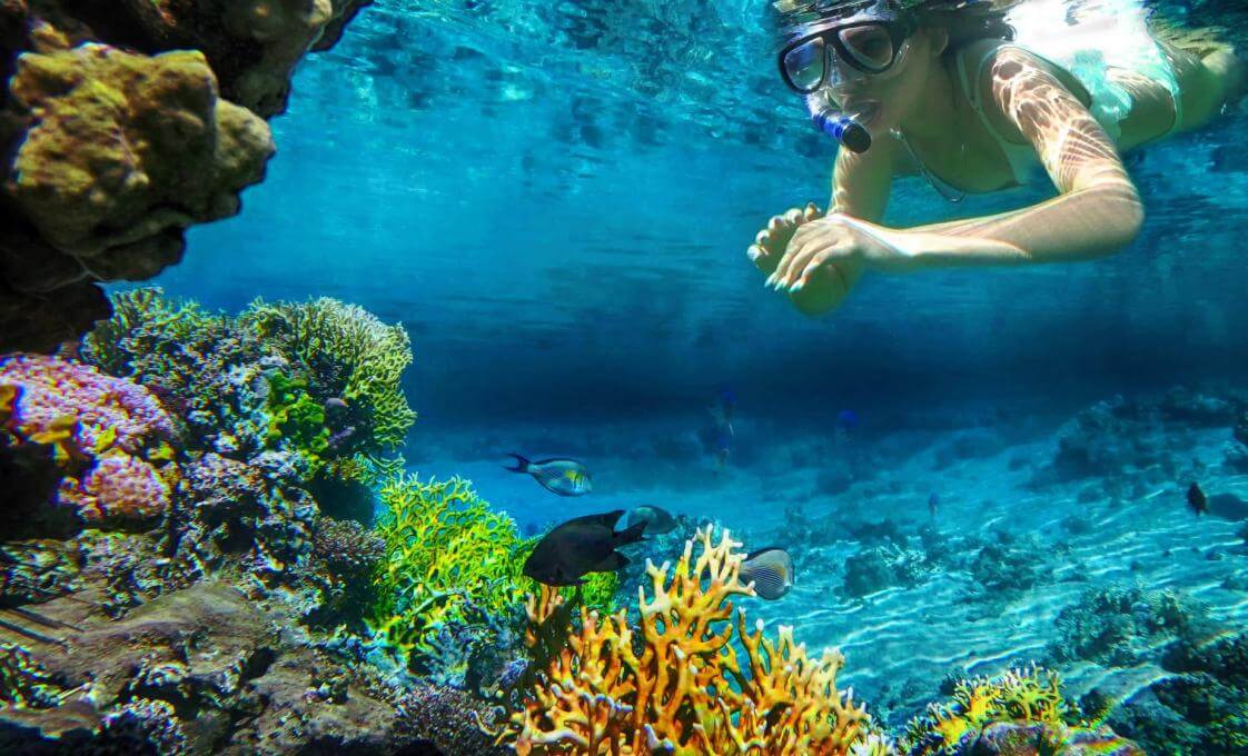 Bonaire Underwater Snorkel Safari