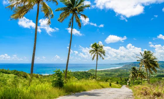 Bajan Paradise in Barbados East Coast Sightseeing Cherry Tree Hill Garrison Historic Area