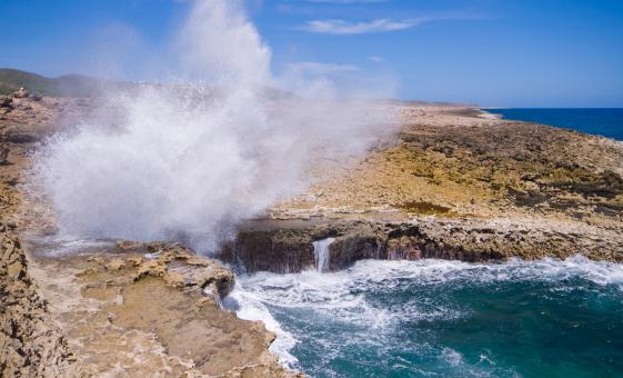 The 10 Best Curacao Shore Excursions, Tours & Cruises | Book Now