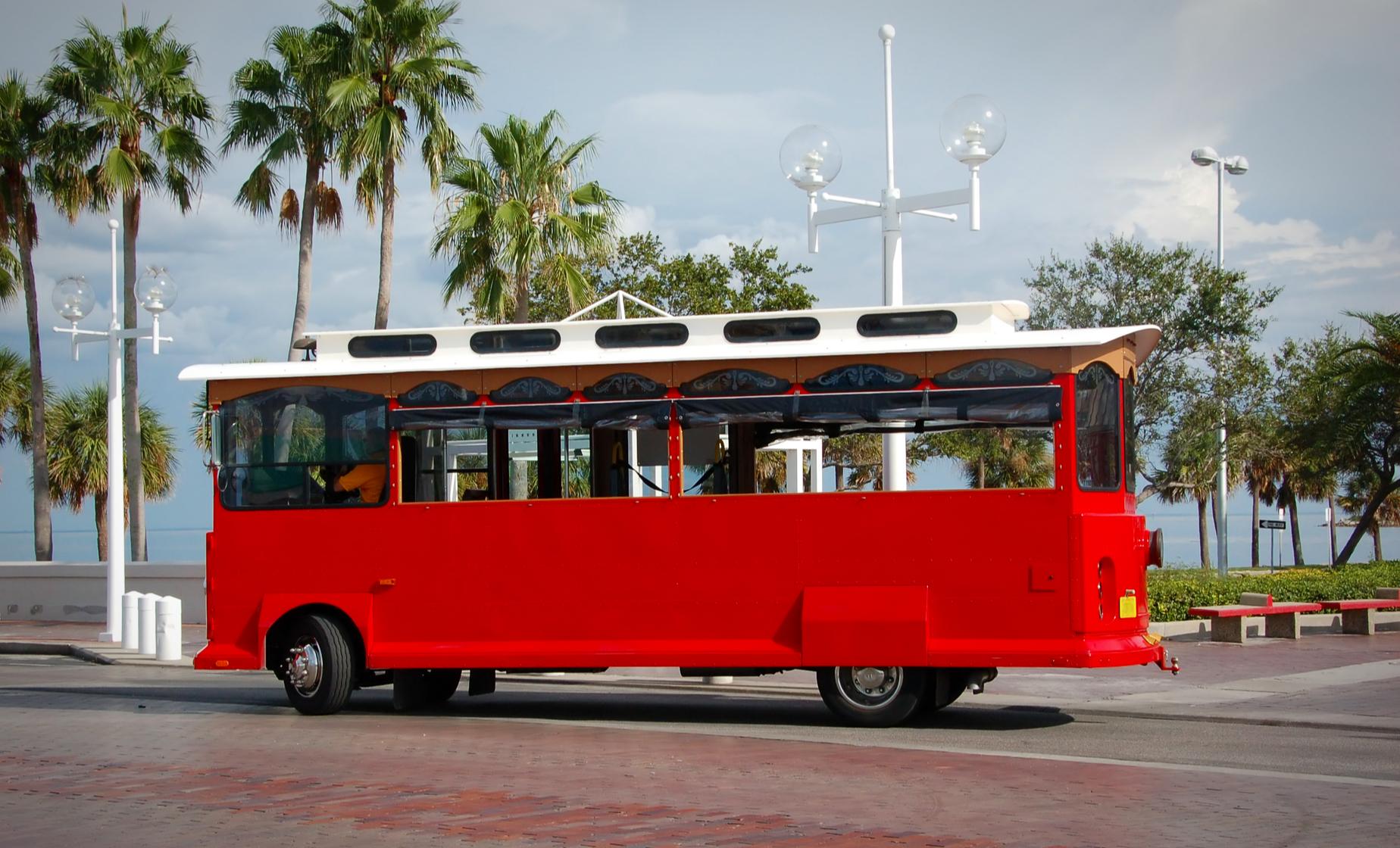 City Tour by Cozumel Trolley | Cozumel Shore Excursion | Caribbean Cruise  Tour