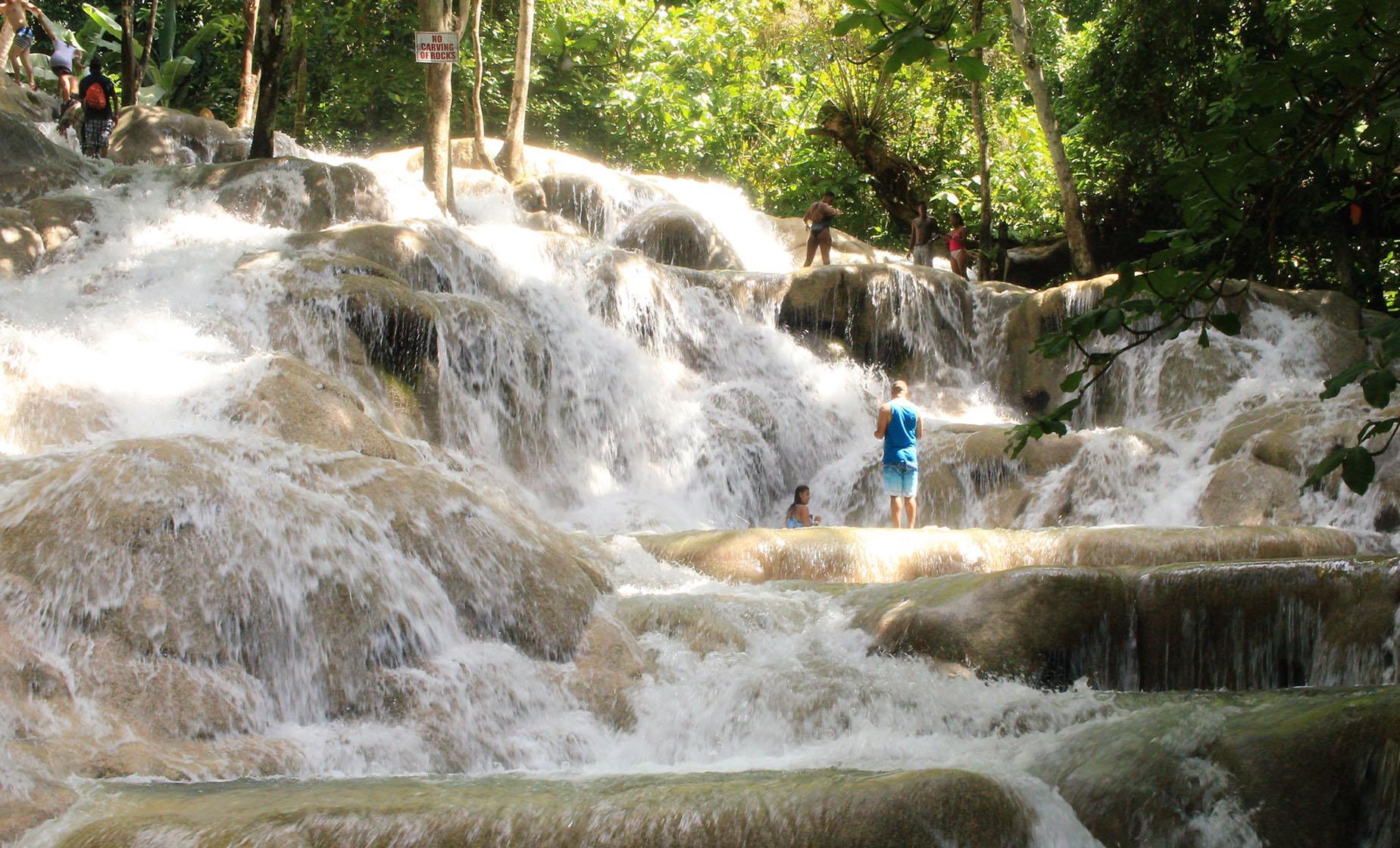 Private Dunn's River Falls and Area Highlights