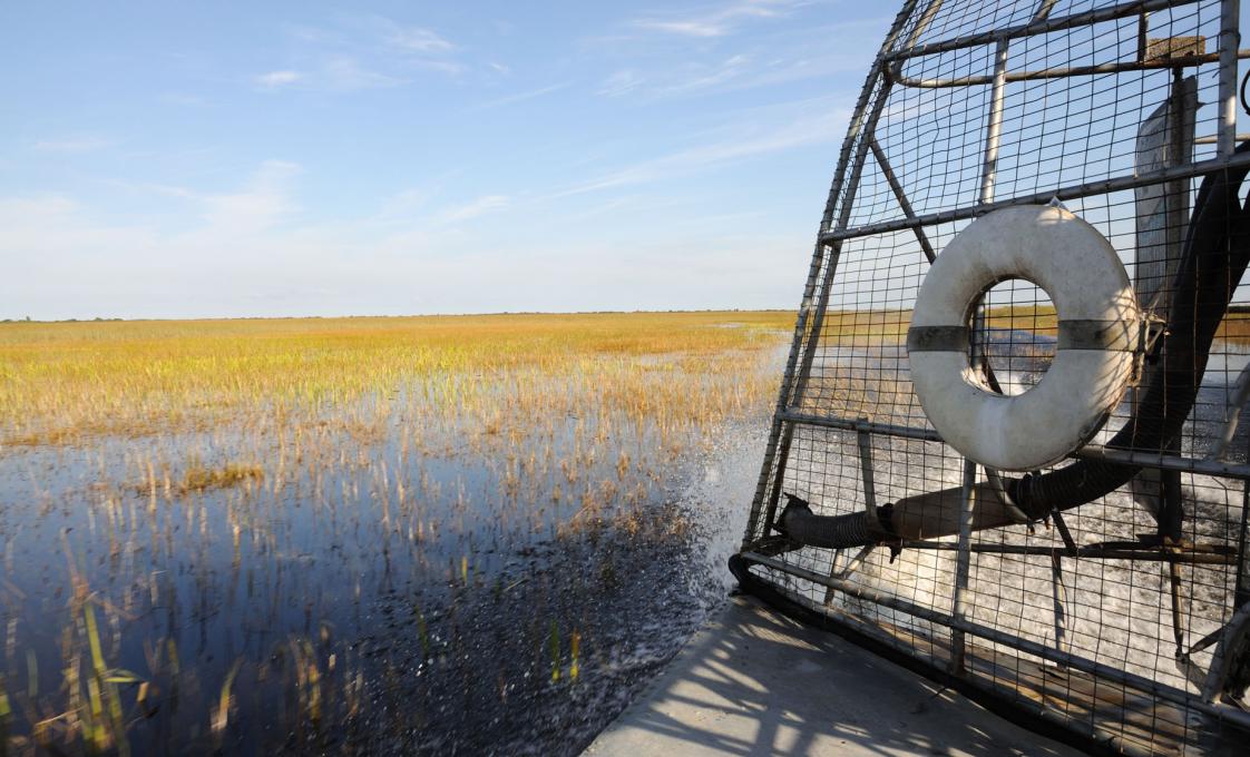 Florida Everglades Airboat And Wildlife Experience
