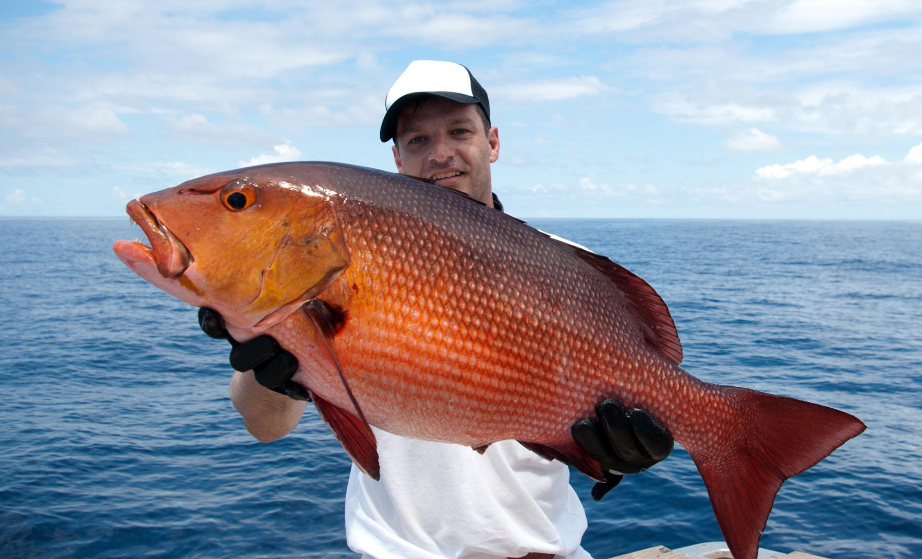 Fishing Guides - Fish Cayman Islands by Fish Cayman Islands - Issuu