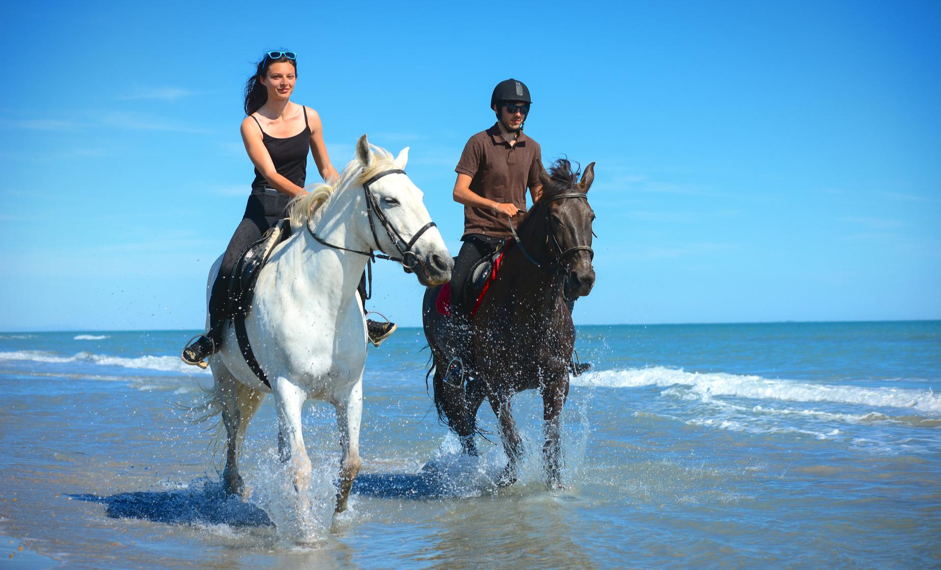Horse Riding on the West Bay Beach of Grand Cayman | Cruise Port Tour