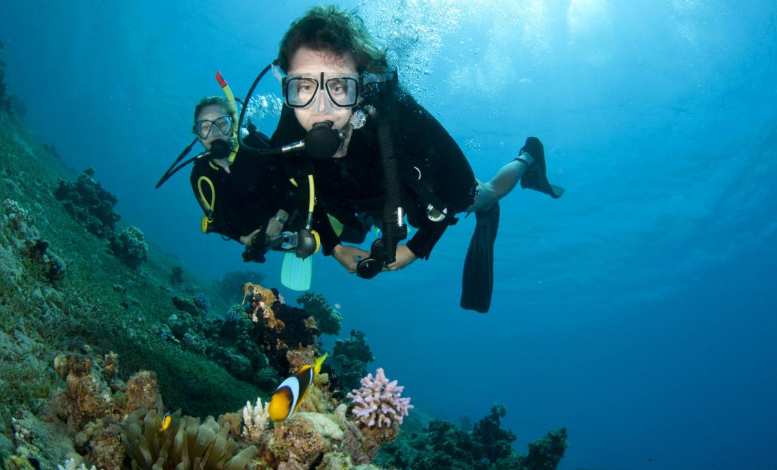 Grenada Padi Discover Scuba Diving