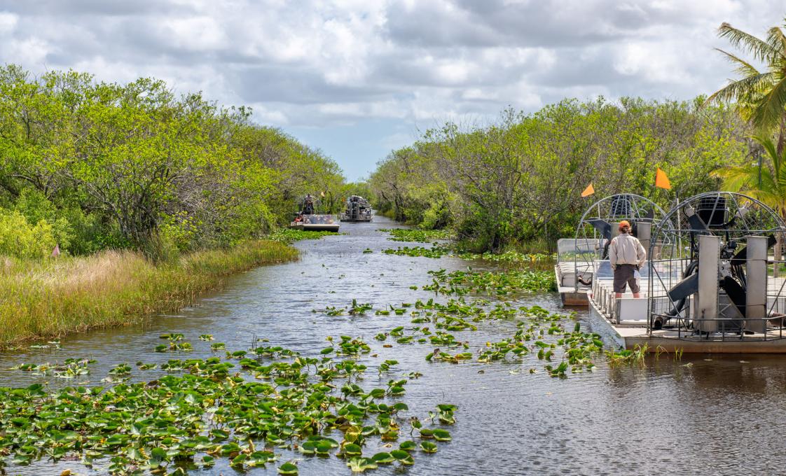 Miami City Sightseeing And Everglades Airboat Tour