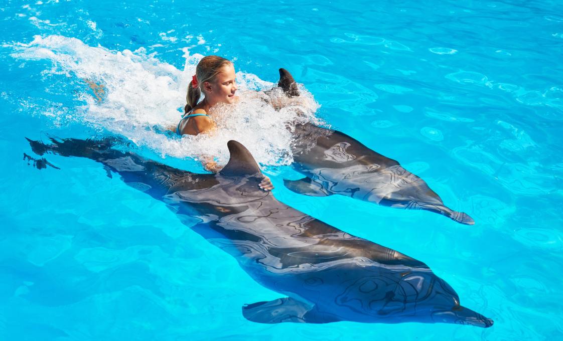 Dolphin Swim & Exclusive Island