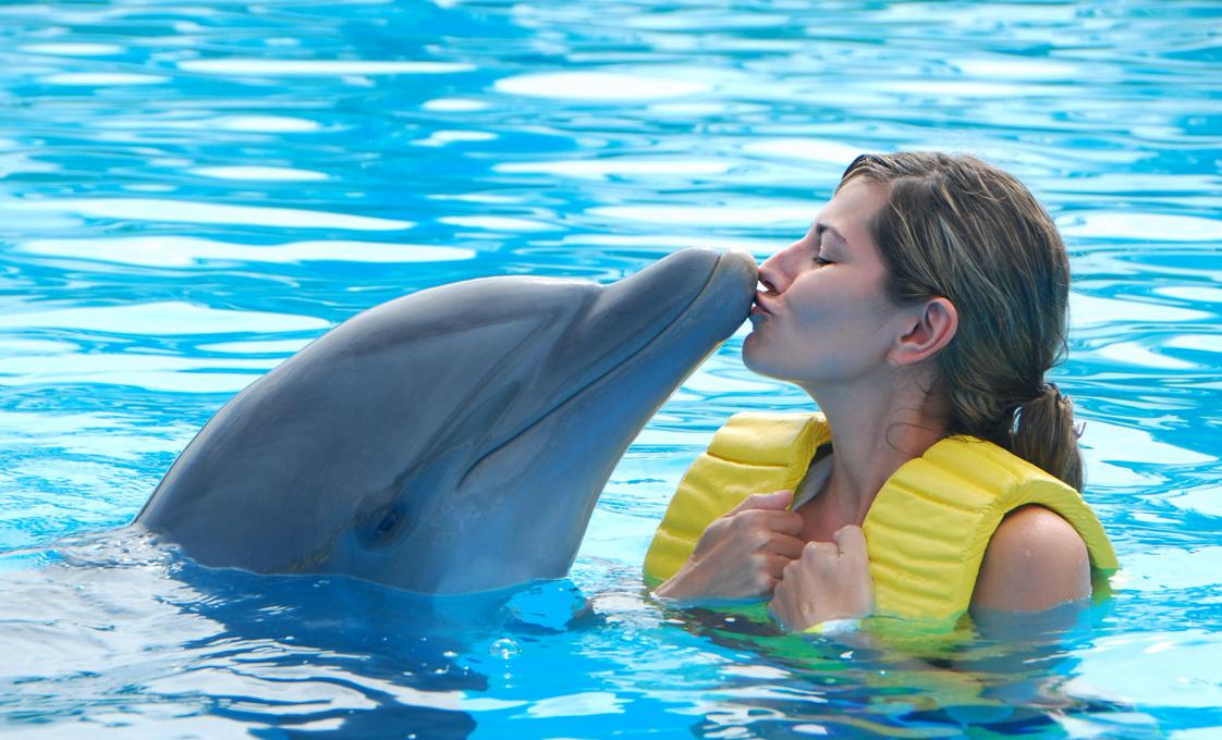 Dolphin Encounter & Exclusive Island