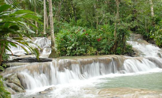 Exclusive Dunn's River Falls and Tubing Tour in Ocho Rios