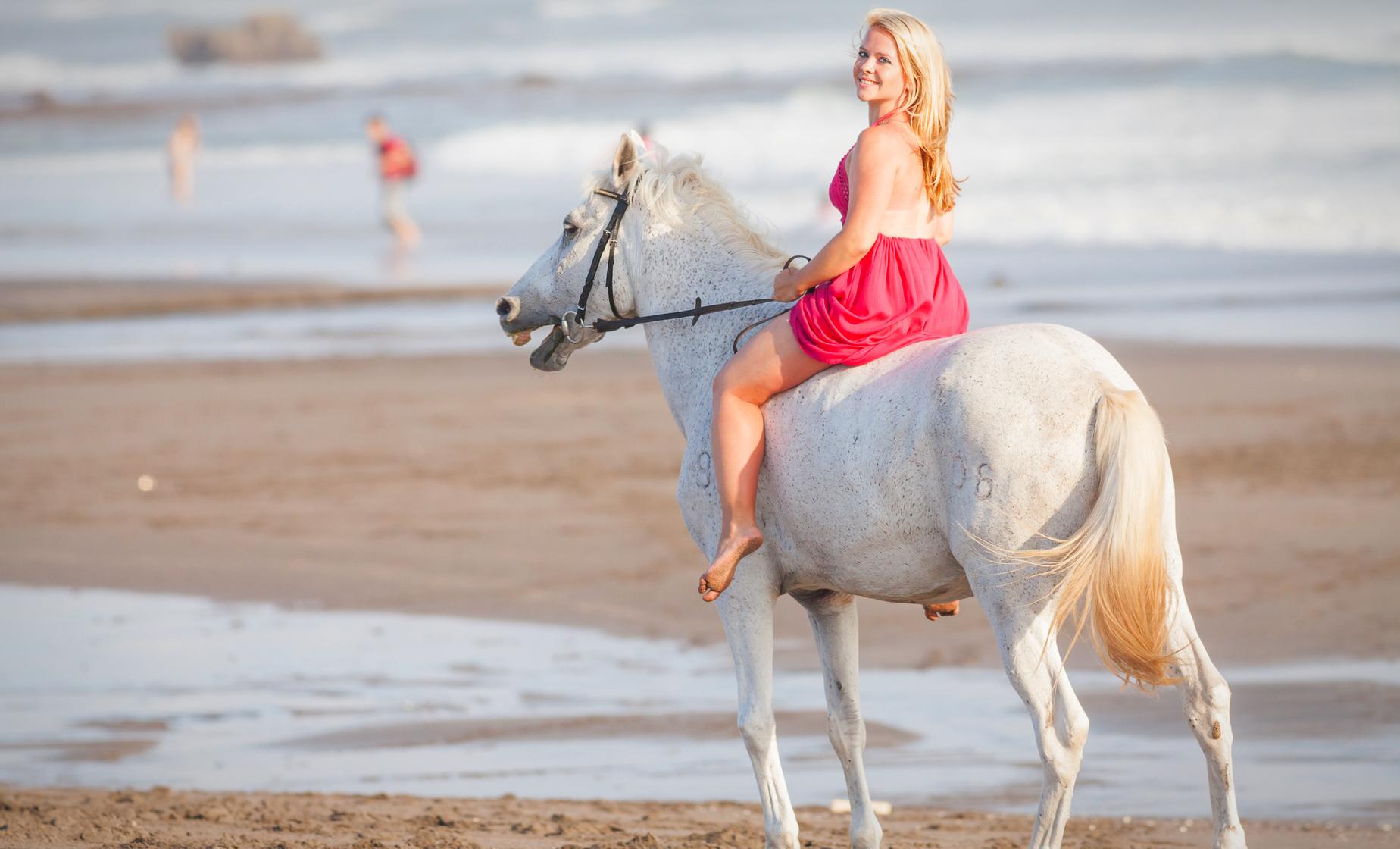 Beach Horseback Ride and Tubing Tour in Ocho Rios