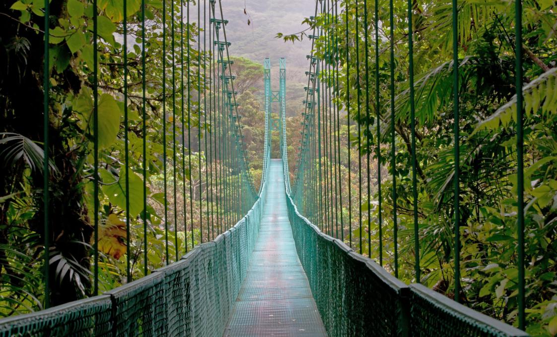 Monteverde Cloud Forest, Hanging Bridges And Butterflies Garden