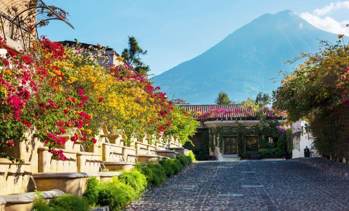 Colonial Antigua Coffee Plantation And Jade Museum