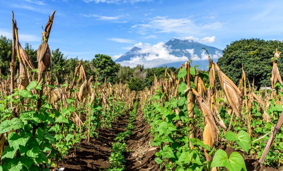 Explore Puerto Iztapa And Local Fishing Village