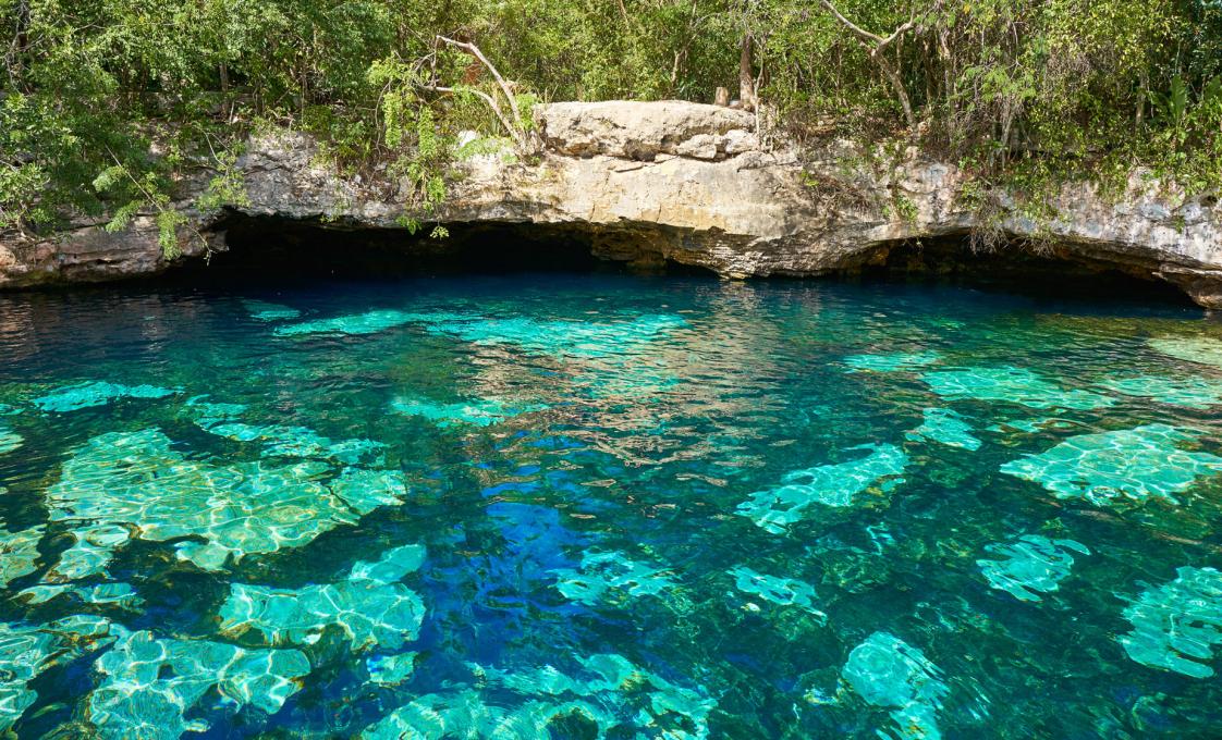 Cenote Natural Reserve With Beach