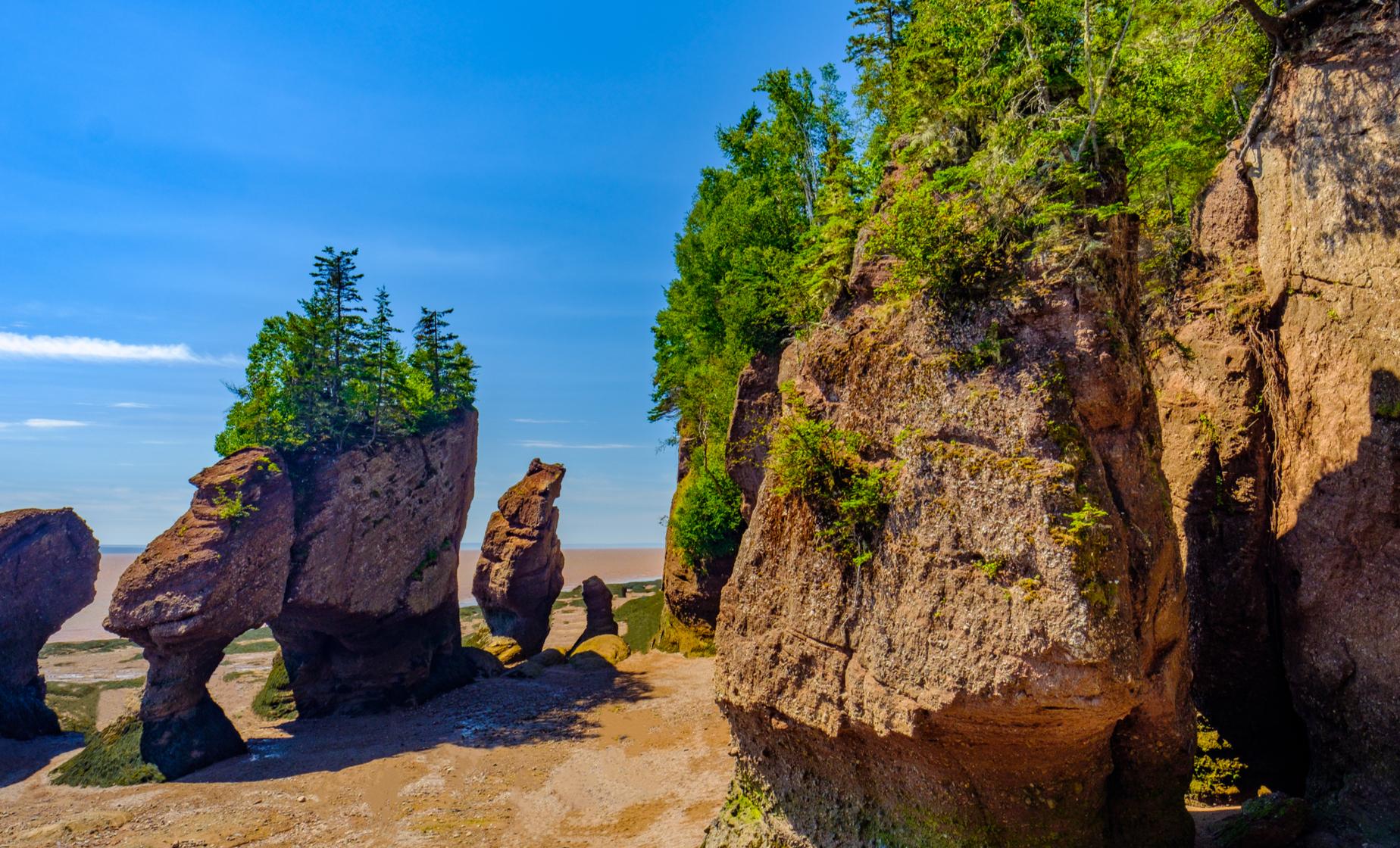 Private Top 10 Highlights and Bay of Fundy, Saint John Shore Excursion