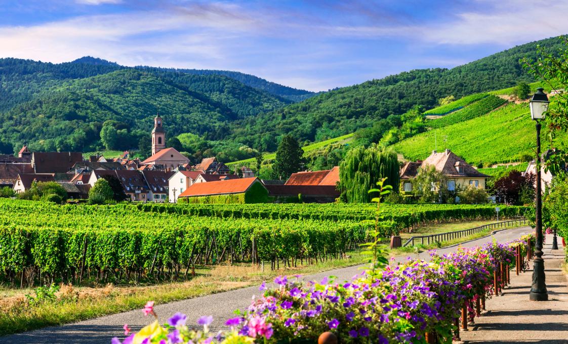 Private Exploration Of Alsace And Wine