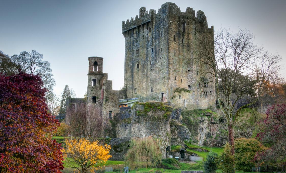 Cork City And Blarney Castle With Private Transportation