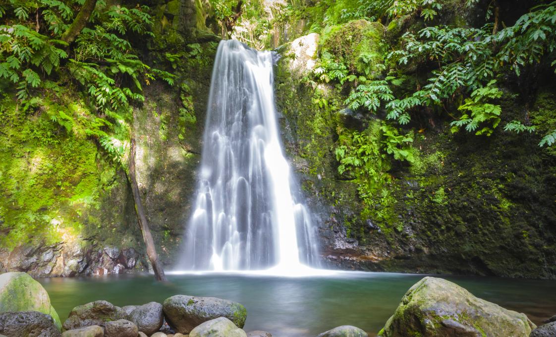 Sanguinho Nature Hike & Waterfall