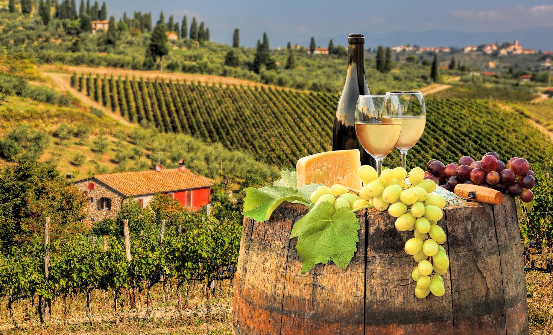 airbnb tuscany wine tour