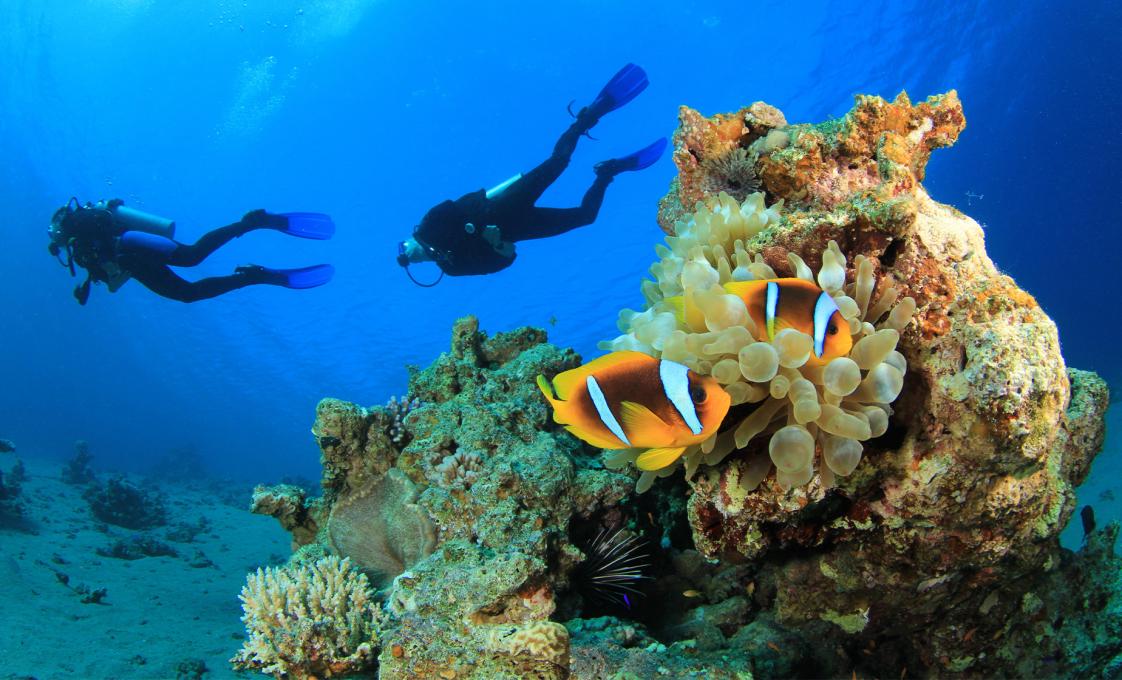 Introduction To Scuba Diving