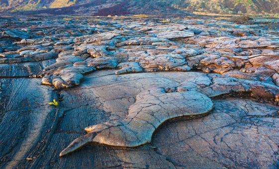 The 10 Best Hilo Tours  Hawaii Big Island Shore Excursions