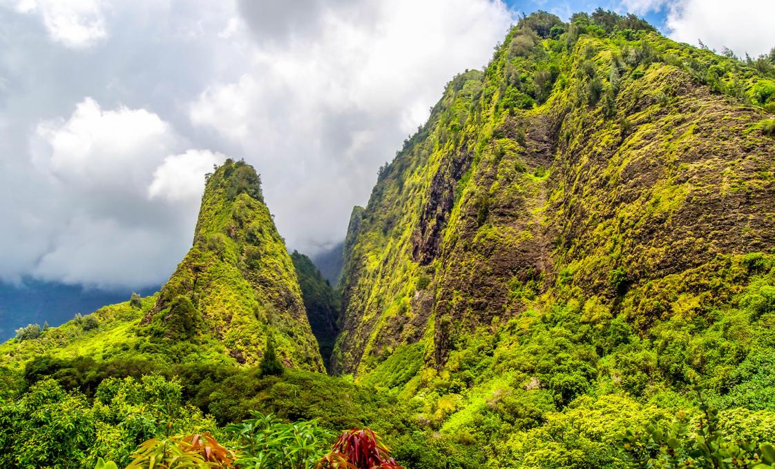 Iao Valley And Maui Tropical Tram