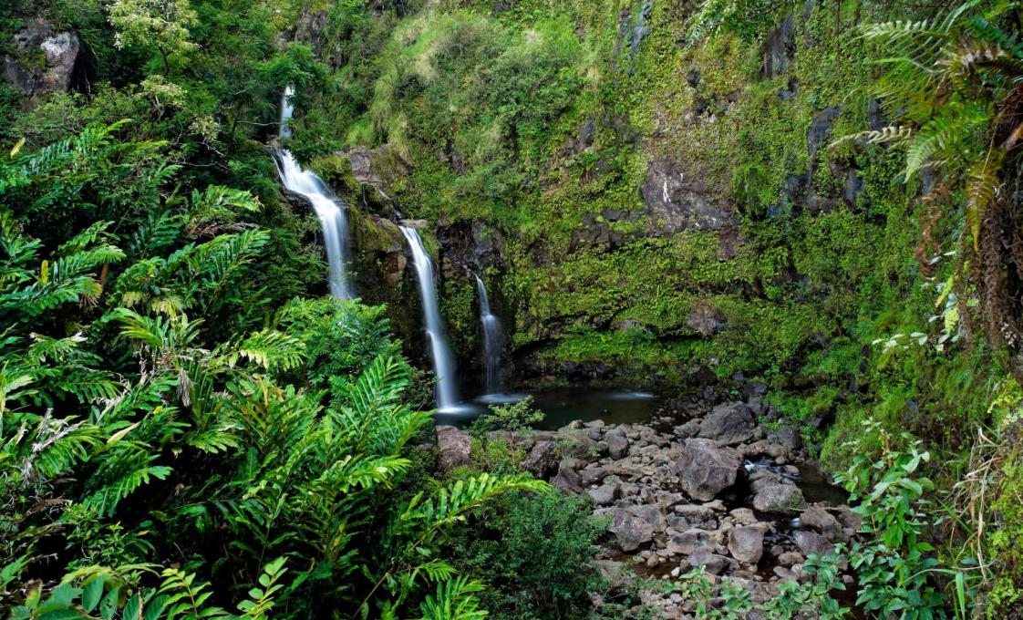 Private East Maui And The Road To Hana