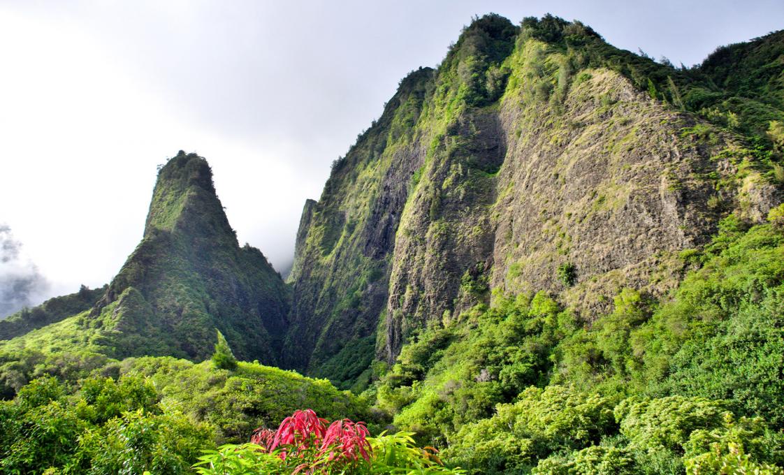 Maui Tropical And Iao Valley With Maui Ocean Center