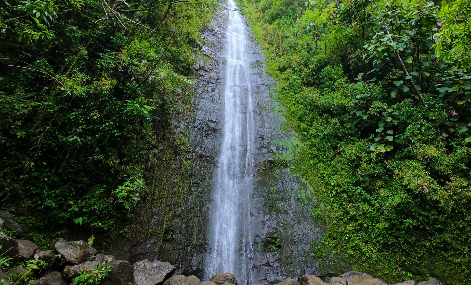 Hawaiian Rainforest Hike Tour in Oahu (Manoa Valley Rainforest)