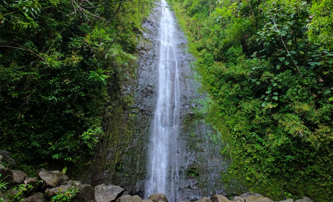 Hawaiian Rainforest Hike