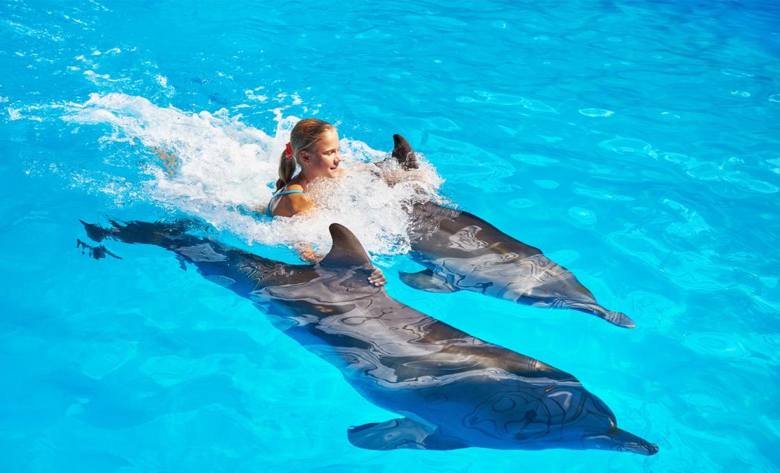 Dolphin Royal Swim And Water Park