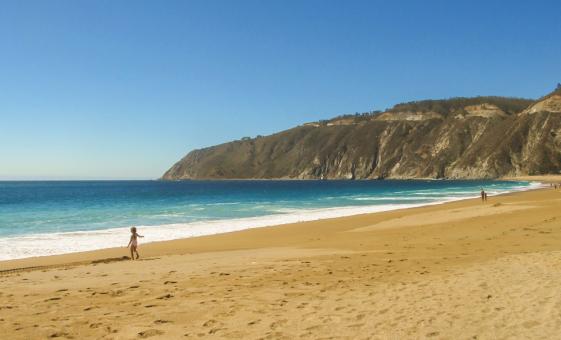 Vina del Mar Tour from Santiago (Valparaíso and the Casablanca Valley)