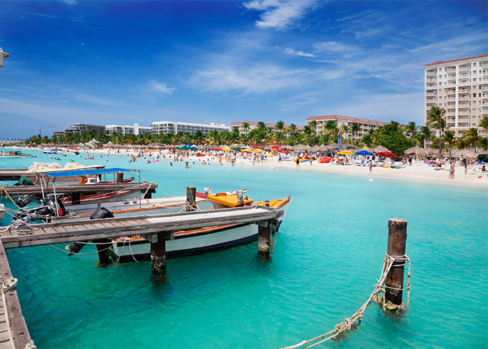 tours in aruba from cruise